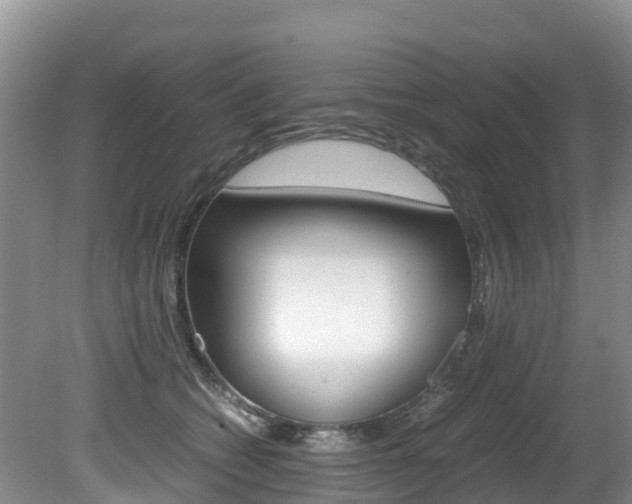 X0000080710562200612150905