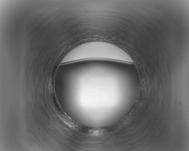 X0000080710564200612150905