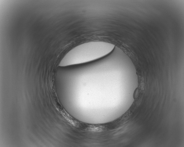 X0000080710569200612150905