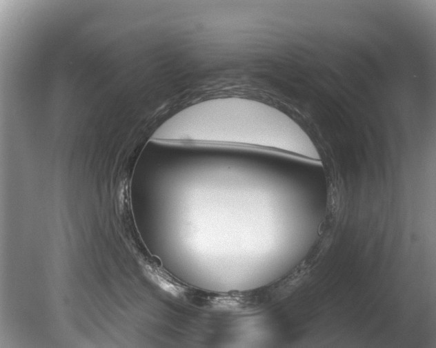 X0000080710574200612150906