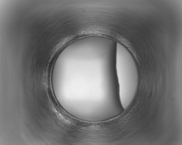 X0000080710578200612150905