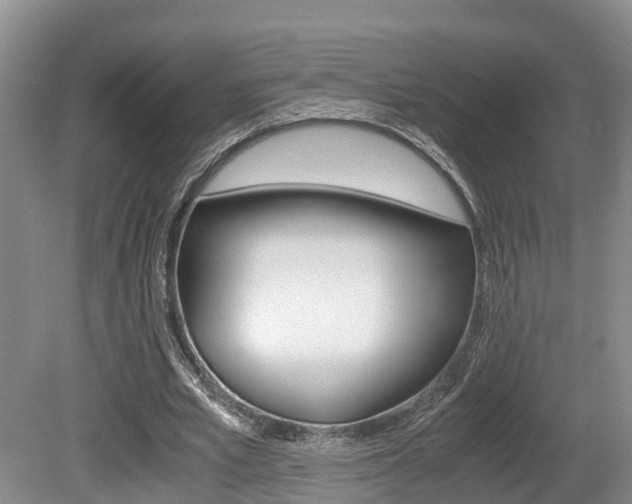 X0000080710581200612150905