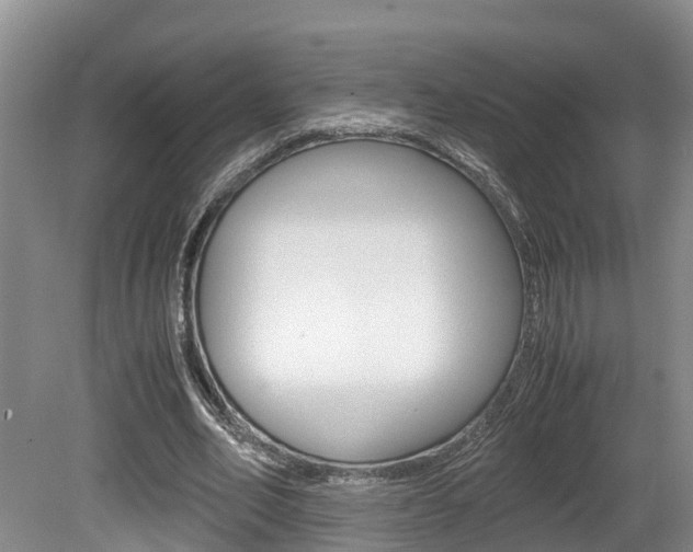 X0000080710582200612150905