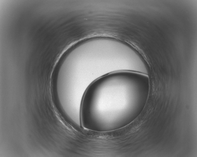 X0000080710584200612150905