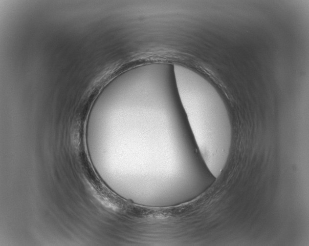 X0000080710586200612150905