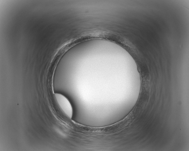 X0000080710587200612150905