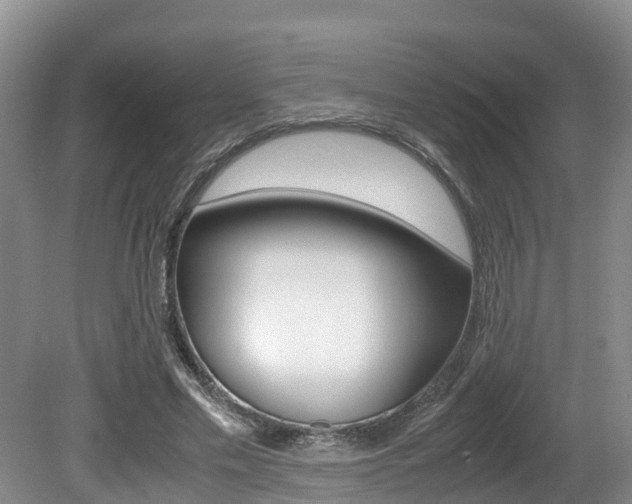 X0000080710589200612150905