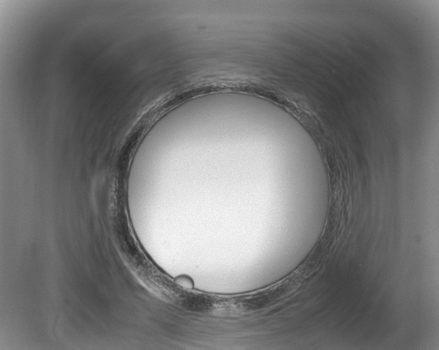 X0000080710591200612150905