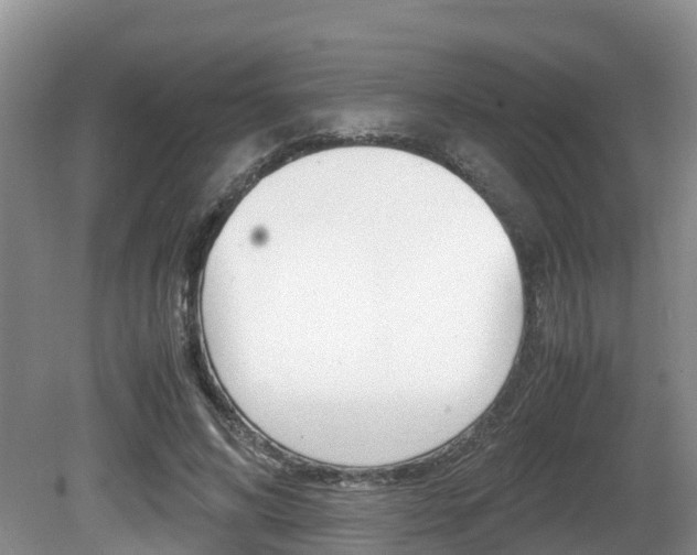 X0000080710592200612150904