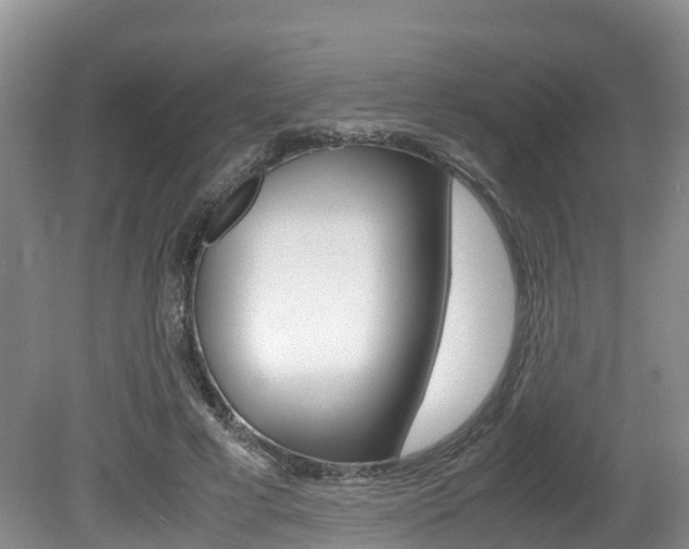 X0000080710593200612150904