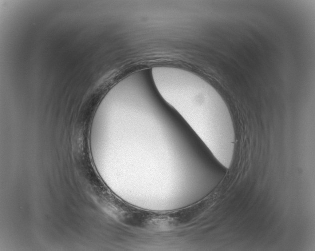 X0000080710595200612150904