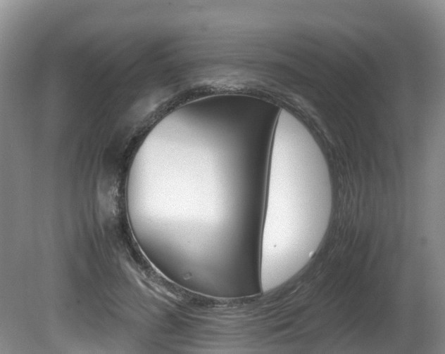 X0000080710596200612150904