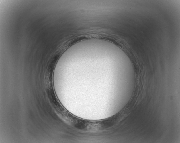 X0000080710599200612150904