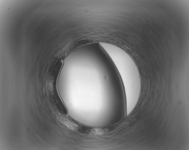 X0000080710613200612150904