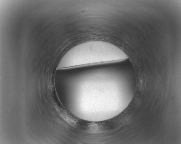 X0000080710616200612150904