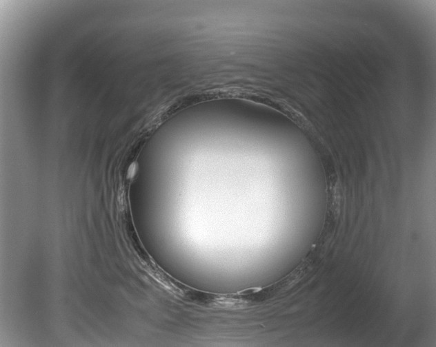 X0000080710617200612150904