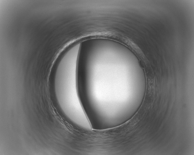 X0000080710628200612150903