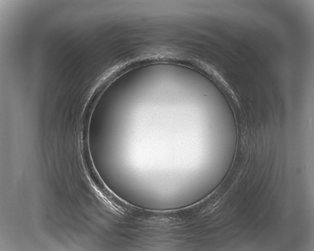 X0000080710629200612150903