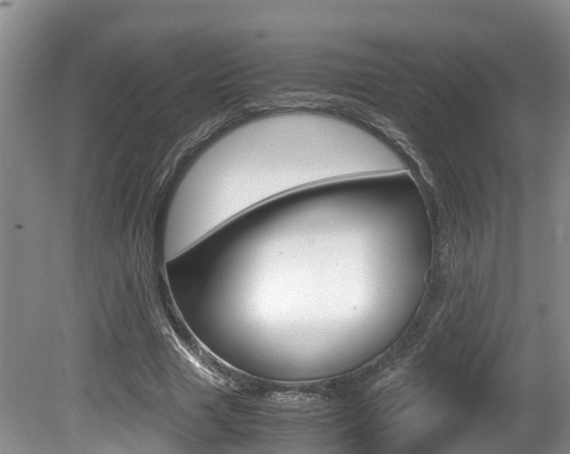 X0000080710633200612150903