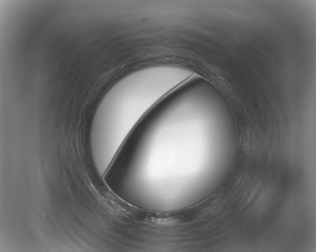 X0000080710645200612150903