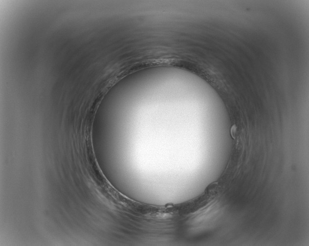 X0000080710647200612150904
