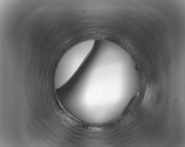 X0000080710649200612150904
