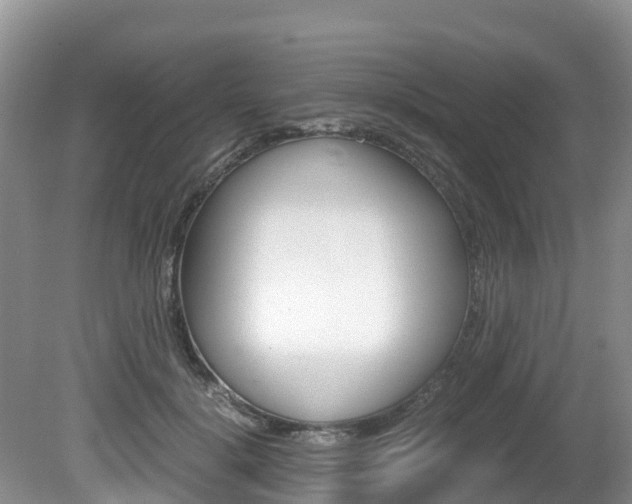 X0000080710652200612150904