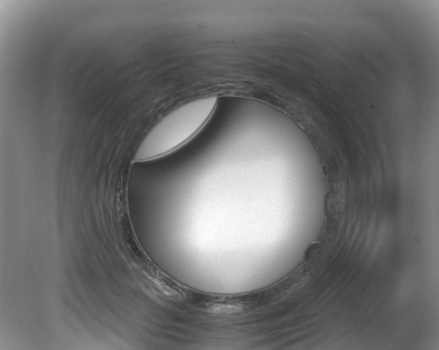 X0000080710653200612150904