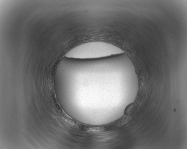 X0000080710659200612150904