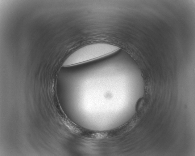X0000080710660200612150904