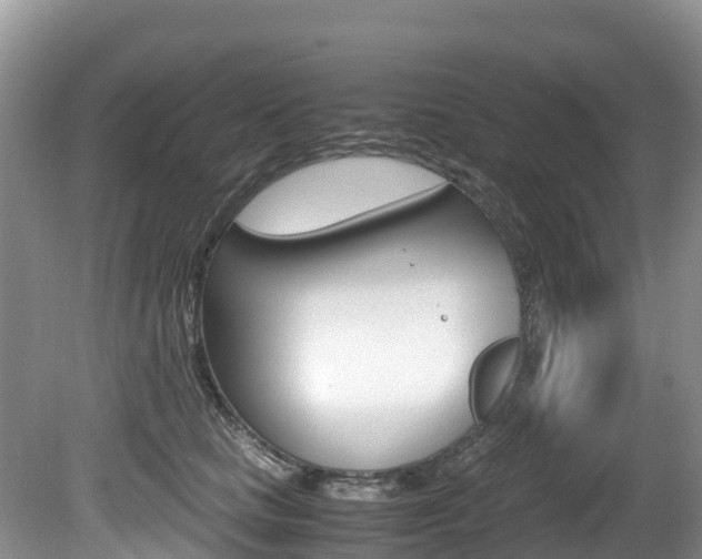 X0000080710661200612150904