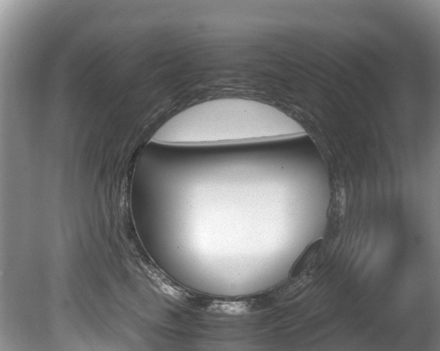 X0000080710665200612150904