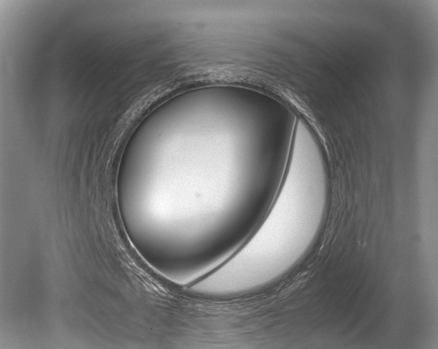 X0000080710673200612150903