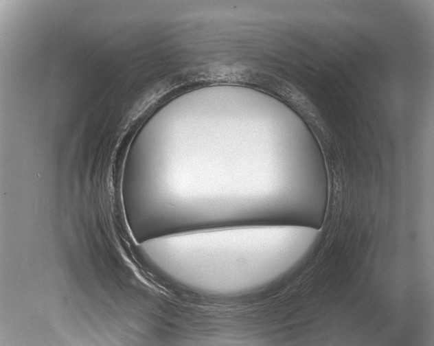 X0000080710674200612150903