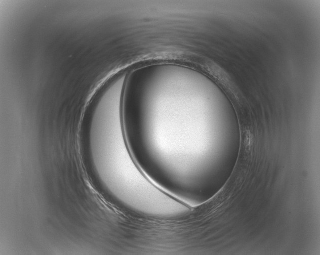 X0000080710676200612150903