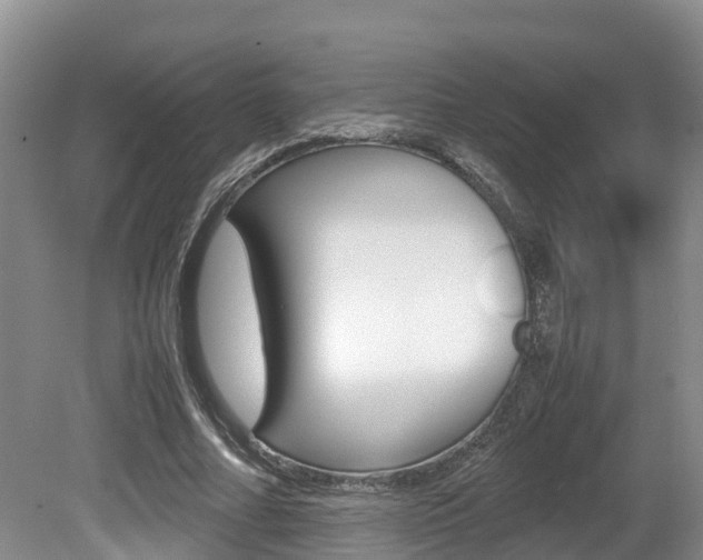 X0000080710682200612150903