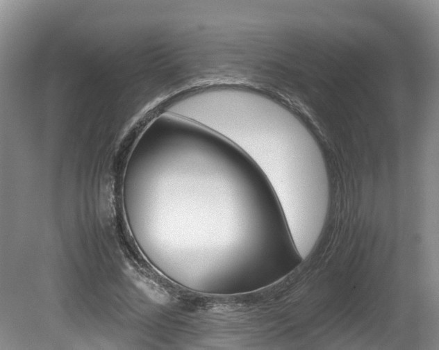 X0000080710684200612150903