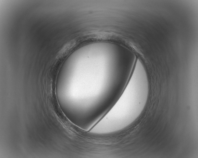 X0000080710685200612150903