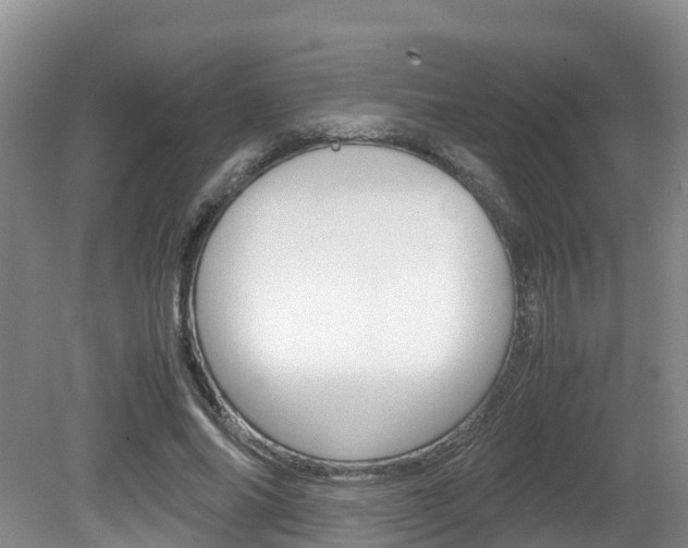 X0000080710686200612150903