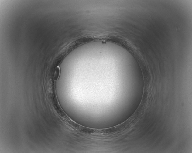 X0000080710689200612150903