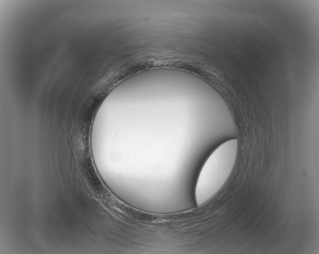 X0000080710691200612150903
