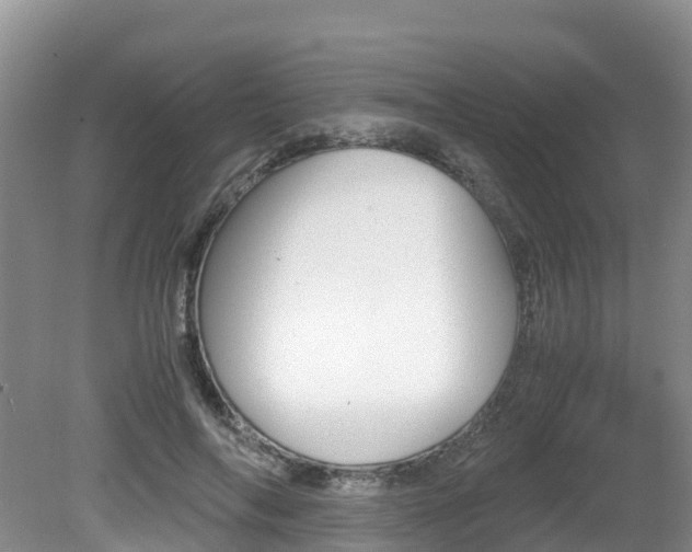 X0000080710694200612150903