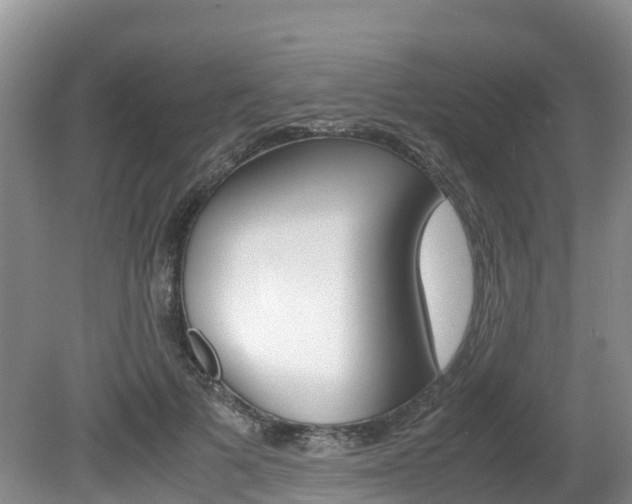 X0000080710697200612150903