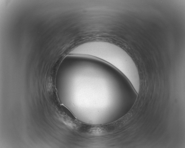X0000080710704200612150903