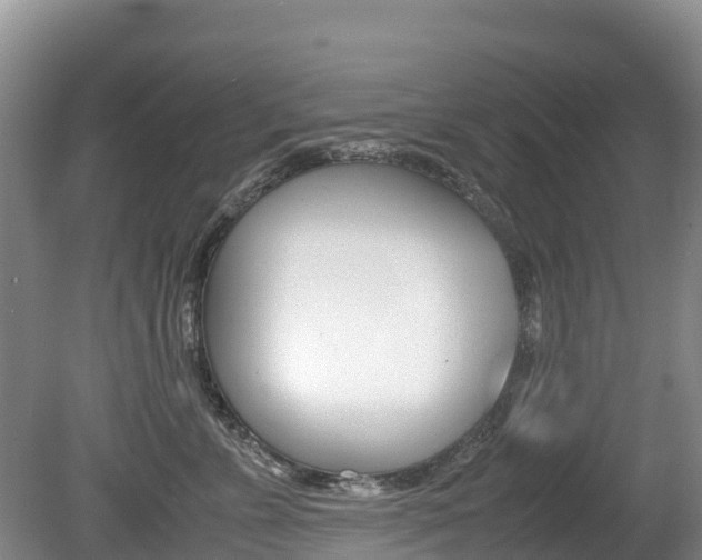 X0000080710715200612150902