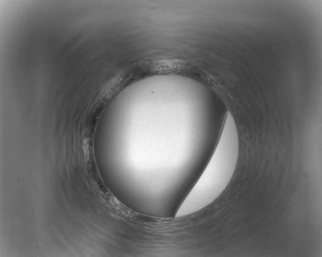 X0000080710716200612150902