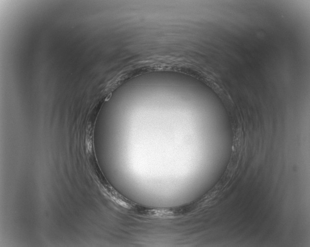 X0000080710719200612150902