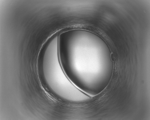 X0000080710722200612150902