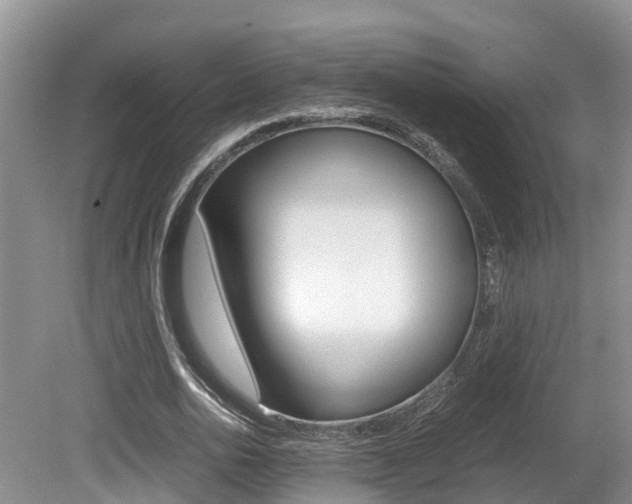 X0000080710726200612150902