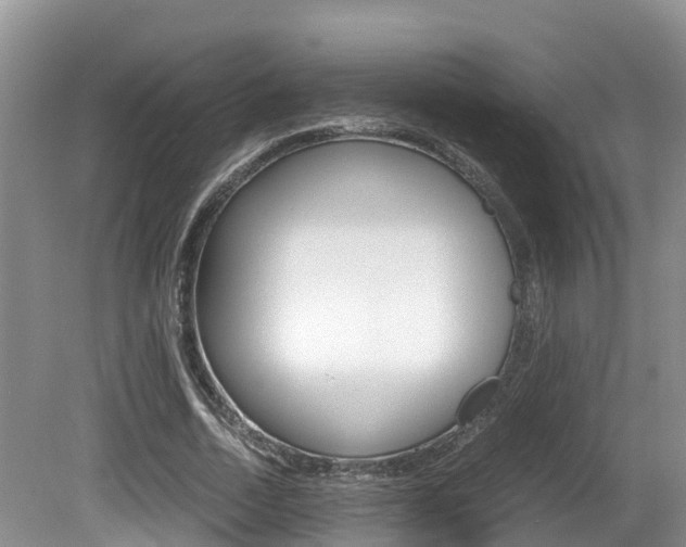 X0000080710730200612150902